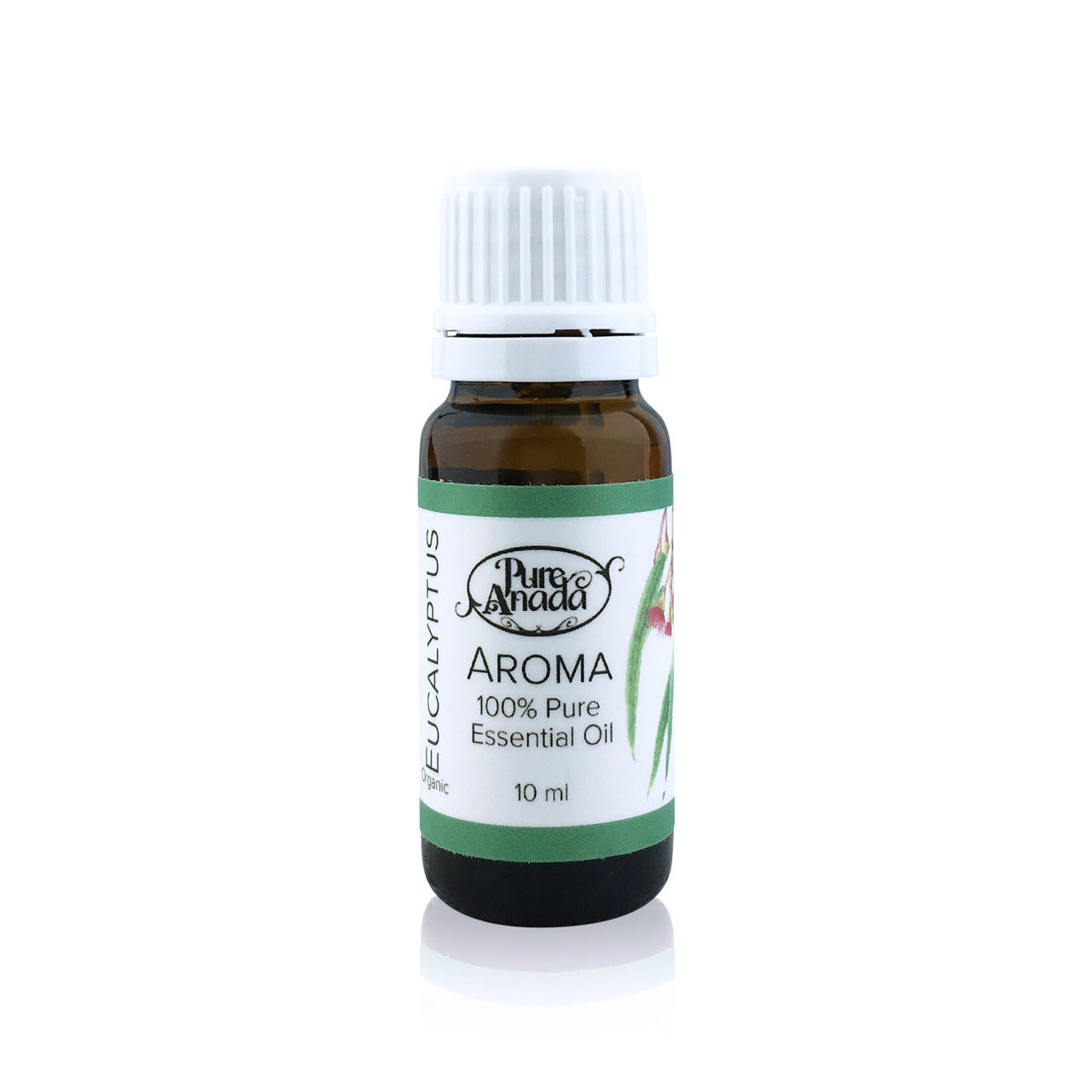 Pure Anada Essential Oil Eucalyptus