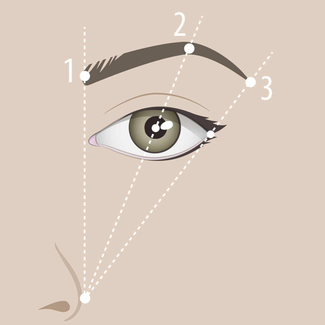 Plume eyebrow measuring chart