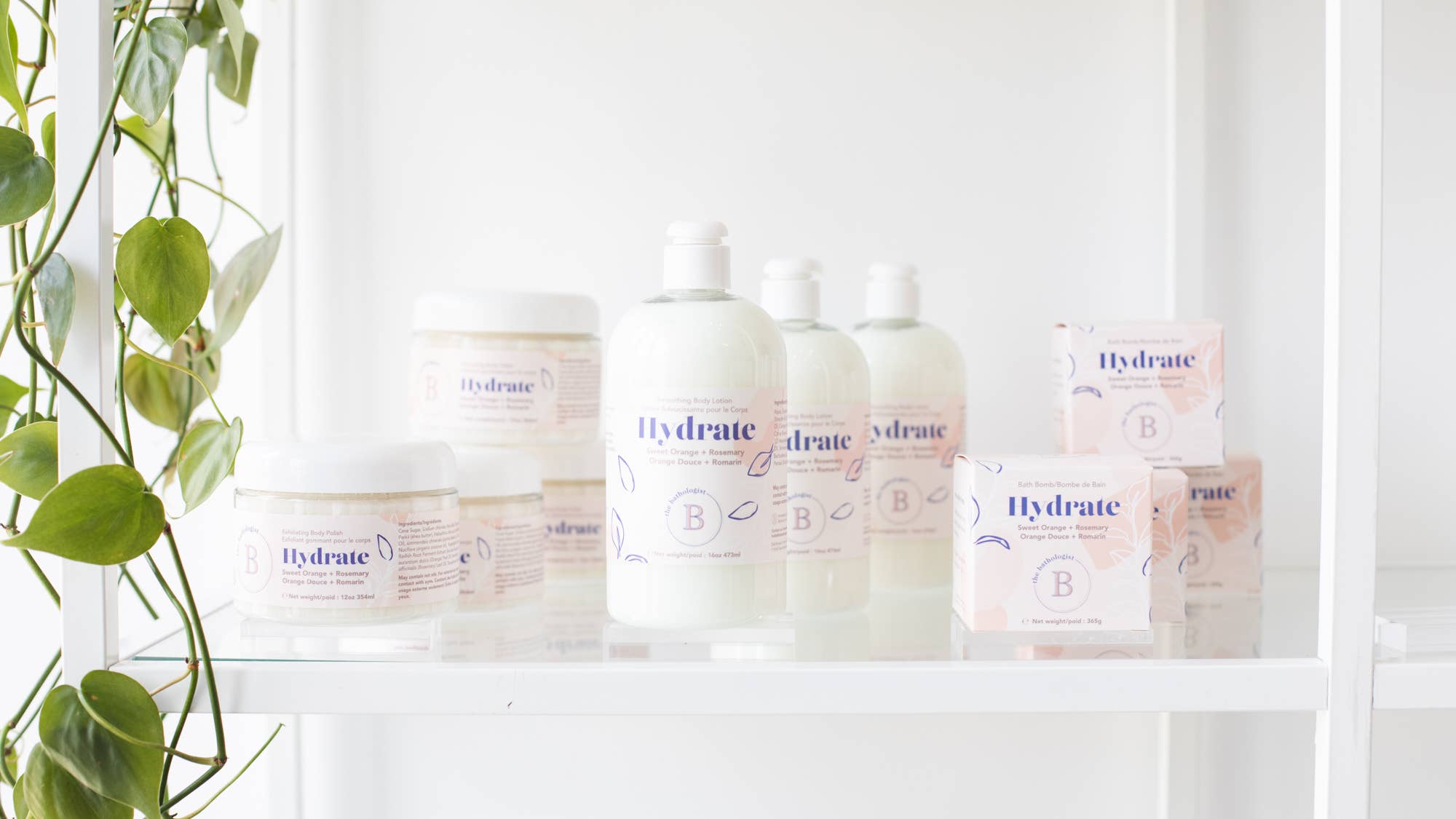 The Bathologist Hydrate skincare products on a white surface with a plant in the foreground