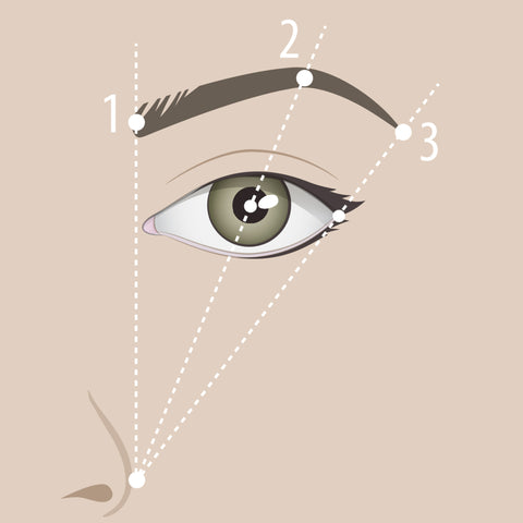 Plume eyebrow measuring chart